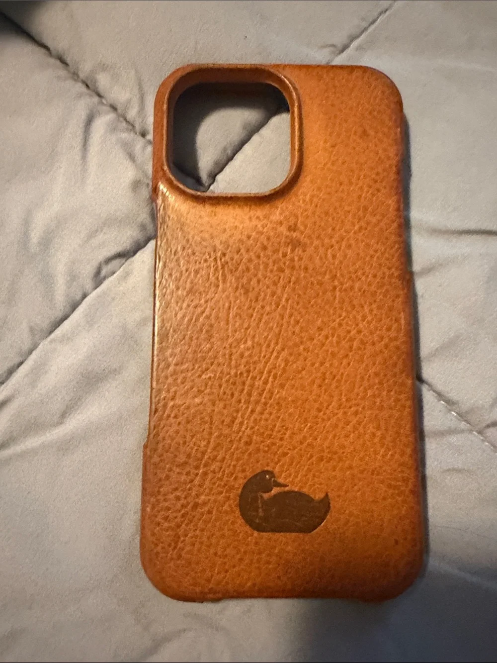 Dooney & Bourke leather 16 pro max case